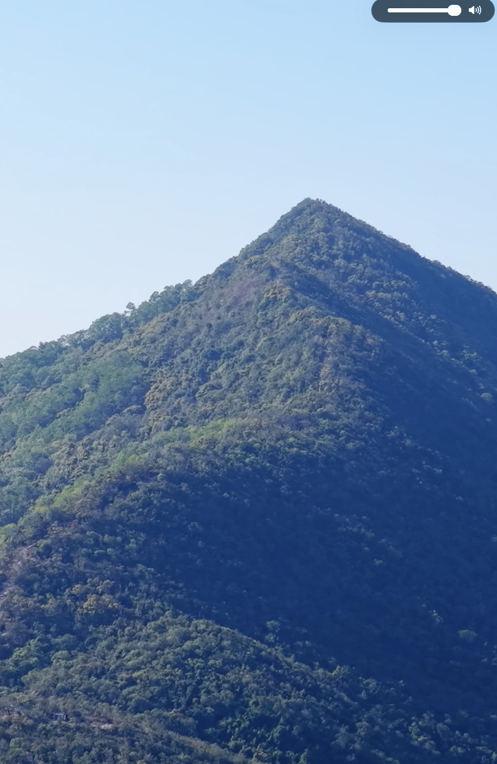 鹧鸪山